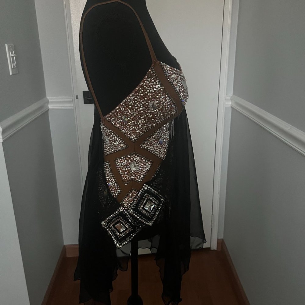 Latin Ballroom Dance Dress - Picture 10 of 16